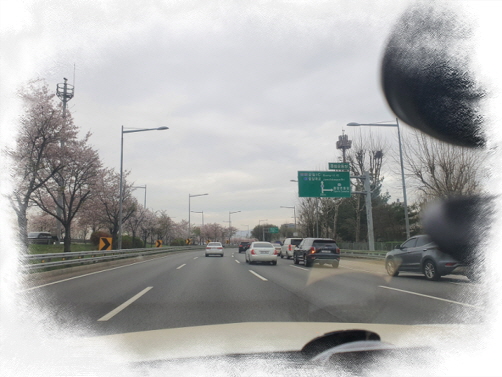 은평운전연수 신호 차선 속도 감각까지 깔끔하게!2